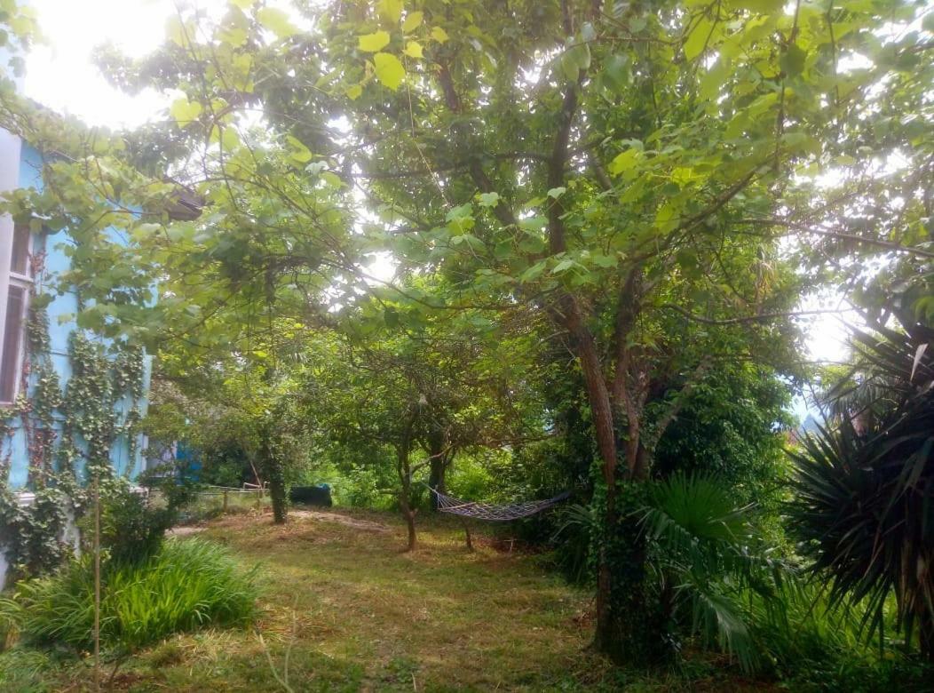 Guesthouse Eco Chakvi Bagian luar foto