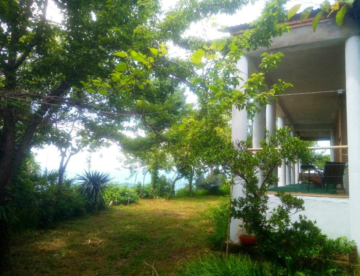 Guesthouse Eco Chakvi Bagian luar foto
