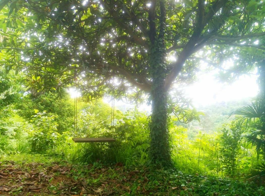 Guesthouse Eco Chakvi Bagian luar foto